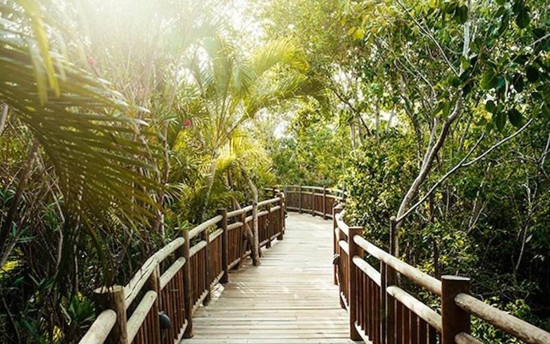 Grand Mayan, Riviera Maya 푸에르토 모렐로스 외부 사진